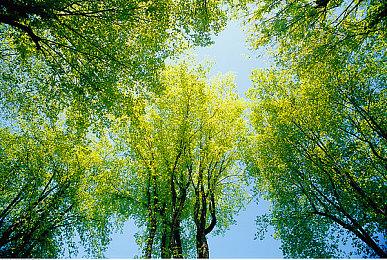 MOD作者用《雷神之锤1》反向重制《雷神之锤4》